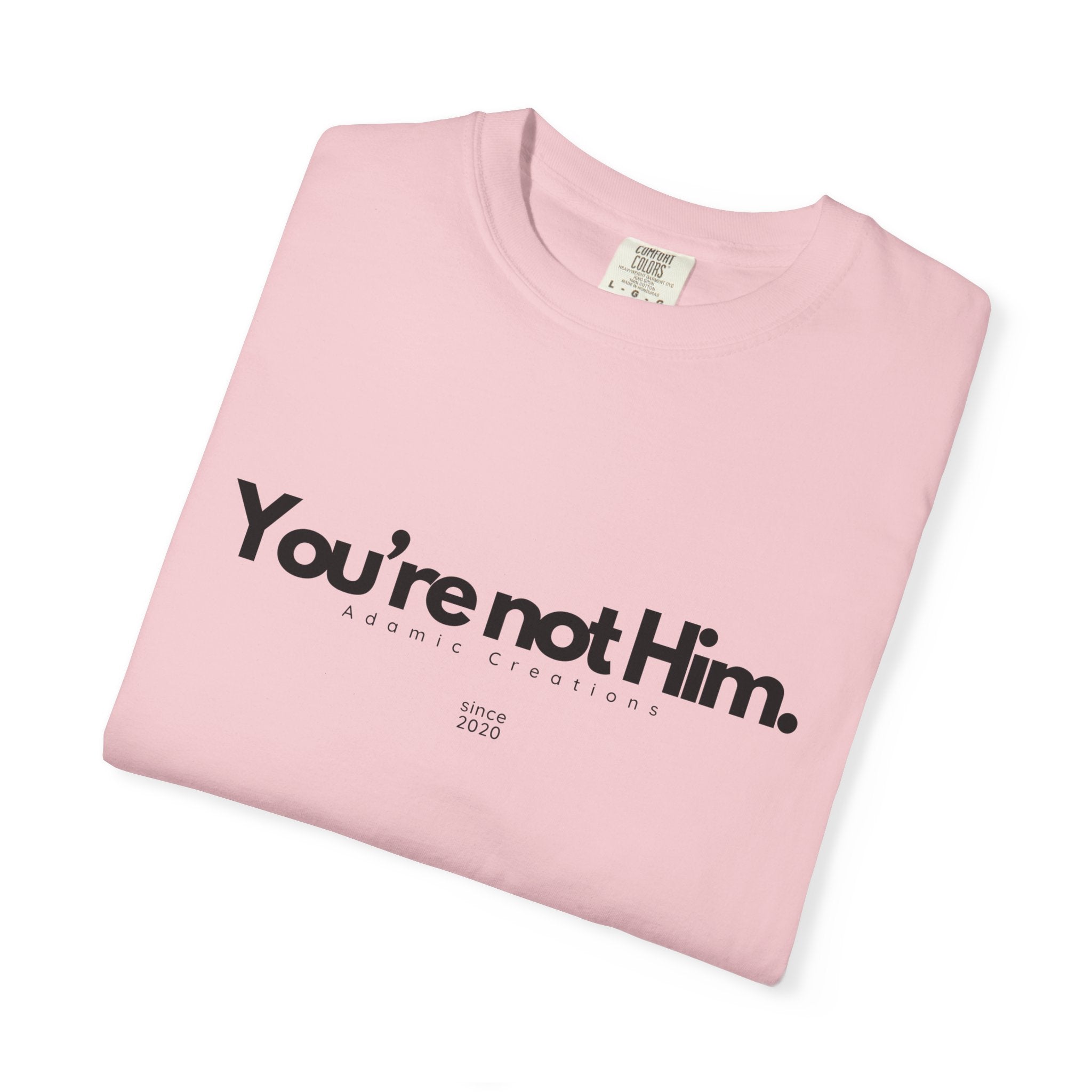 You're Not Him T-shirt | Statement Tee, Text Graphic